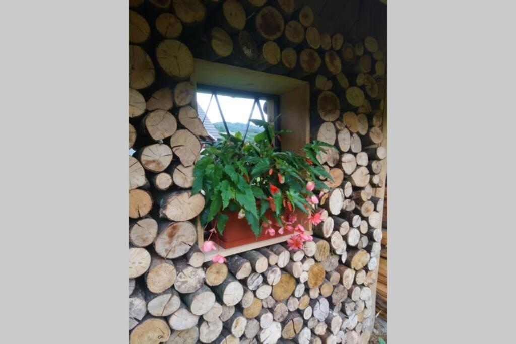 Hut At The Forest Male Brusnice Esterno foto