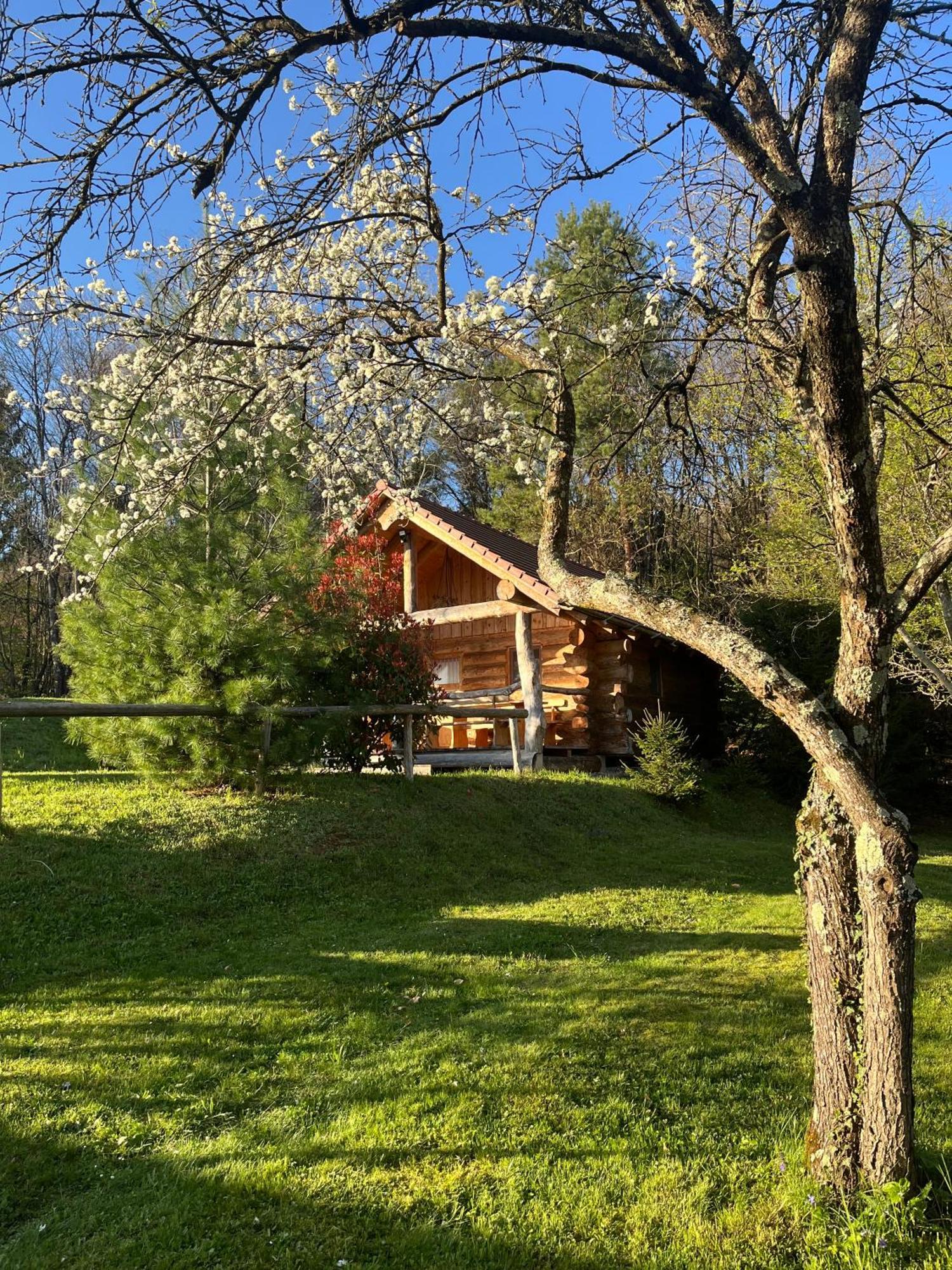Hut At The Forest Male Brusnice Esterno foto